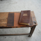 Christian Art Publishers Giant Print KJV Holy Bible, for Standard Size GP Editions/King James Version